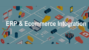Online Retailers Benefit from E-Commerce to ERP Cloud Integration
