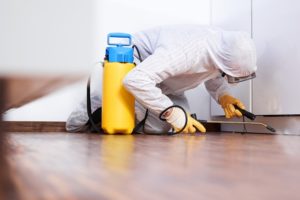 Why Hire Pest Control Services